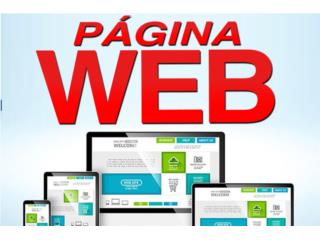 Pagina Web y Pagina Facebook incluida 787-384-8404 Puerto Rico TECHVISION