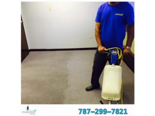 LIMPIEZA DE ALFOMBRAS Puerto Rico EVOLUTION CLEANING INC.