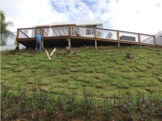 TERRAZAS Y DECKS MADERA Puerto Rico RS SOLUTION