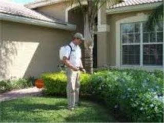 PEST CONTROL IN GUAYNABO Clasificados Online  Puerto Rico