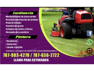 Mantenimiento Áreas Verdes Puerto Rico RL Landscaping