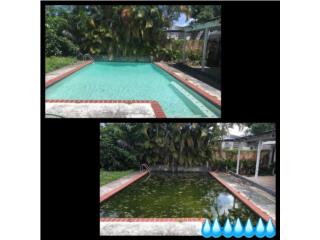 Mantenimiento de piscina y servicio de fumigacion Clasificados Online  Puerto Rico