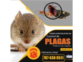  Problemas con Ratas? Podemos ayudarte Area metro Puerto Rico TIERRA ALTA EXTERMINATING