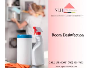 Room Desinfection Puerto Rico Nahomi Land-Housekeeping