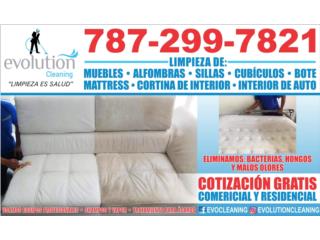 limpieza de muebles Puerto Rico EVOLUTION CLEANING INC.