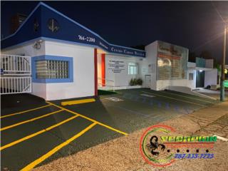 Pintura Lavado a Presion Poda de Arbol Puerto Rico Scorpion Property Cleaning