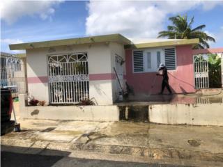 Lavado a Presion Poda de Arbol Pintura Puerto Rico Scorpion Property Cleaning
