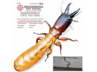 Fumigacion | Cert Termitas Puerto Rico Pérez Exterminating & Pest Control