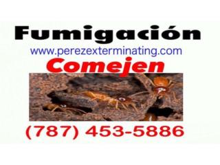 Exterminador | Certificacion Termitas  Puerto Rico Prez Exterminating & Pest Control