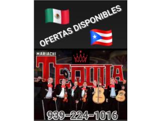 Mariachis in Puerto Rico Great Price and offer Puerto Rico MARIACHI TEQUILA EN PUERTO RICO 