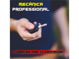 Juntas y Liqueos de Fluidos del Automvil  Puerto Rico Mecnica Professional