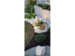 Mantenimiento de Jardines y Carreteras Puerto Rico MOTHER EARTH LANDSCAPING