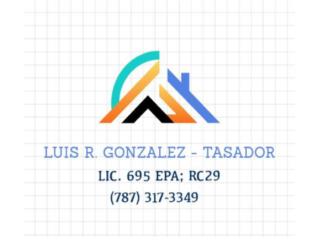 TASADOR DE BIENES RAICES Clasificados Online  Puerto Rico