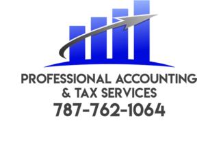 Planilla Individuo nica Servicios Profesionales Puerto Rico Professional Accounting & Tax 