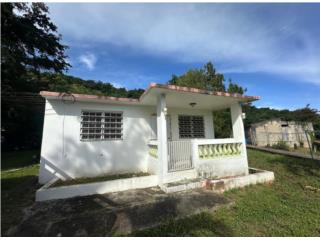 LAVADO A PRESION PINTURA PODA ARBOL Puerto Rico Scorpion Property Cleaning Corp.