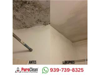 GRATIS Inspecci�n a la propiedad por hongos Puerto Rico PuroClean of San Juan Puerto Rico