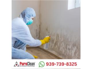 Extracci�n de hongos por filtraci�n techo Puerto Rico PuroClean of San Juan Puerto Rico