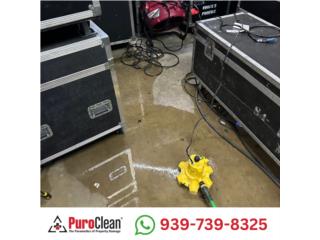 Inundaciones por lluvias o filtraciones Puerto Rico PuroClean of San Juan Puerto Rico