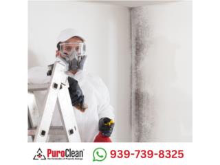 Da�o por hongos y riesgos biol�gicos Puerto Rico PuroClean of San Juan Puerto Rico