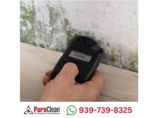 Inspecci�n de da�os por hongo GRATIS Puerto Rico PuroClean of San Juan Puerto Rico