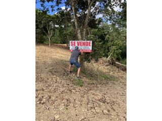 Se Instalan letreros peque�os Flayers  Puerto Rico Ventas