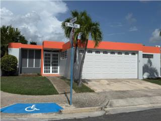 Pintura Residencial  Puerto Rico Ledey Lawn Care and Handyman Services