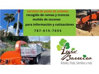Servicio de molido de tocones Puerto Rico luis barreiro