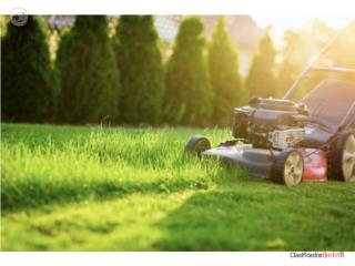 Lawn Care Services Puerto Rico Miguel Rivera