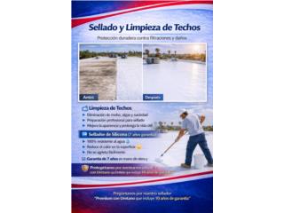 Limpieza + Sellado de Techos Soluci�n Completa Puerto Rico Carlos Santiago 
