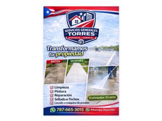 Limpieza de Techos Profesional  Puerto Rico Carlos Santiago 