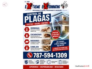 Exterminador/Comejen/control de Plagas Puerto Rico Extreme Exterminating
