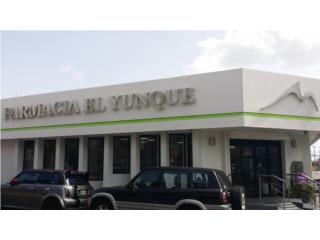 Gran variedad en productos en general. QuedateEnCasa con ClasificadosOnline