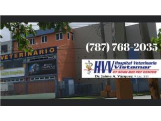 Veterinaria QuedateEnCasa con ClasificadosOnline