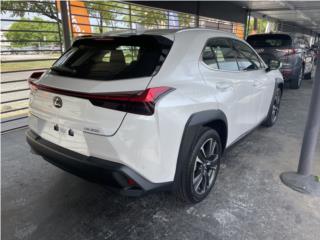 Di Maio Exotic Import Puerto Rico