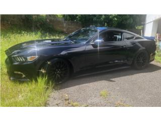 Ford Puerto Rico Ford Mustang Gt 50yr 