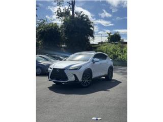 LEXUS NX250 LUXURY