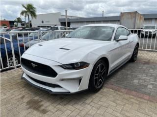 Ford Puerto Rico 2022FordMustang