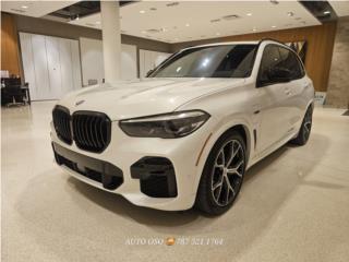 Auto Oso Puerto Rico