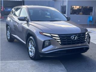 Amarilys Torres Auto Puerto Rico