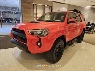 Auto Oso Puerto Rico
