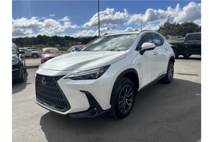 2025 Lexus NX