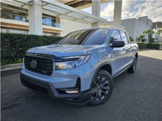 Auto Oso Puerto Rico