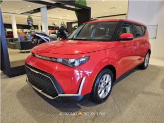 Auto Oso Puerto Rico