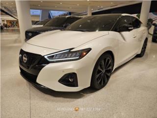 Auto Oso Puerto Rico