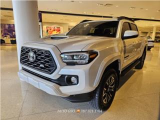 Auto Oso Puerto Rico