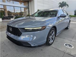 Auto Oso Puerto Rico