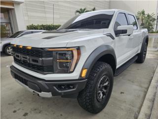 Auto Oso Puerto Rico
