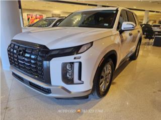 Auto Oso Puerto Rico