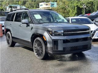 Amarilys Torres Auto Puerto Rico