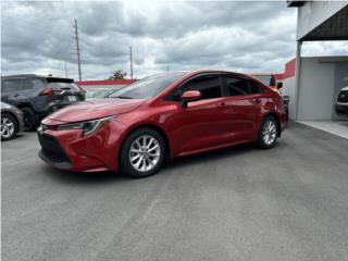 Beba Serra Kingdom Auto Puerto Rico